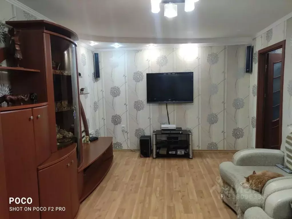 2-к кв. Севастополь ул. Адмирала Фадеева, 25Е (54.0 м) - Фото 2