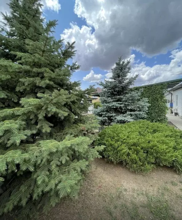 Дом в Ростовская область, Азовский район, с. Самарское ул. ... - Фото 2