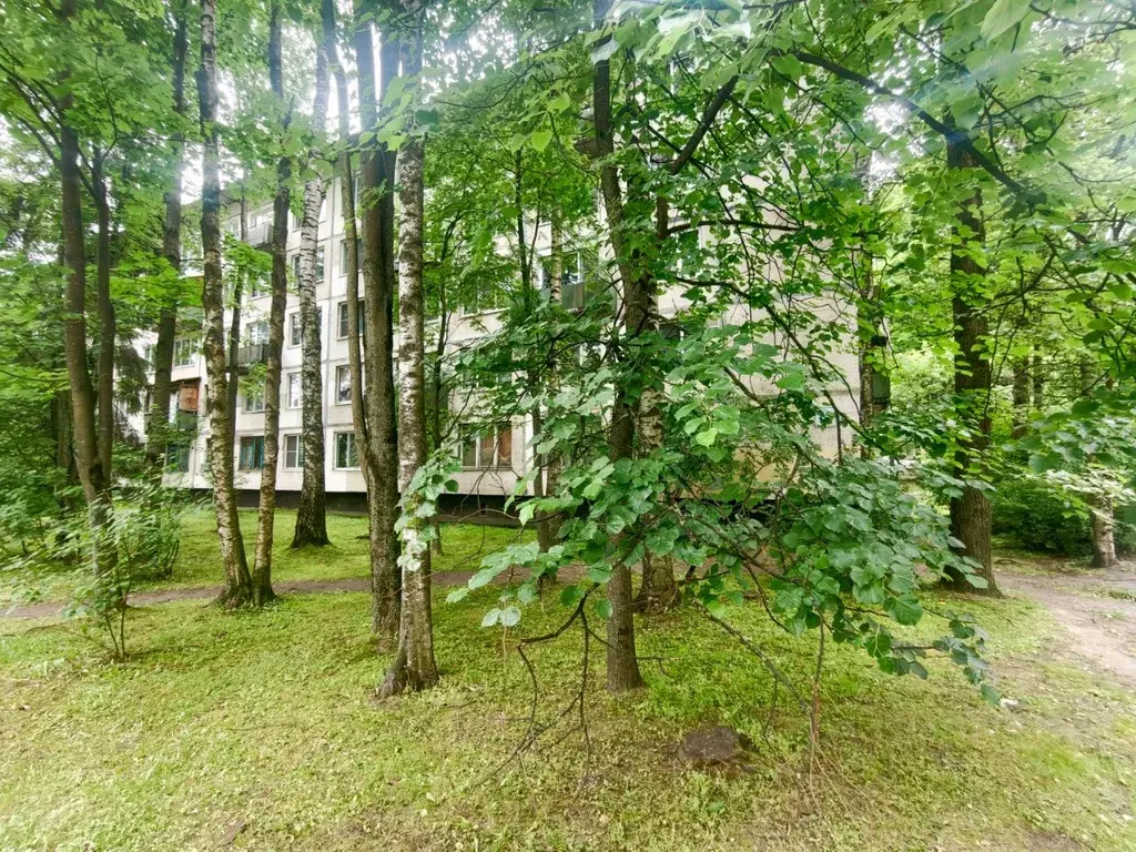 Комната Санкт-Петербург ул. Руставели, 10 (10.0 м) - Фото 1