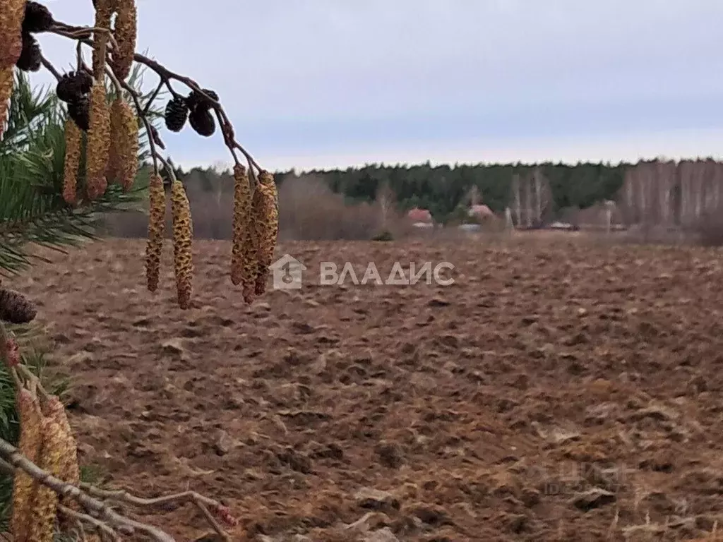 Участок в Владимирская область, Собинский муниципальный округ, д. ... - Фото 1