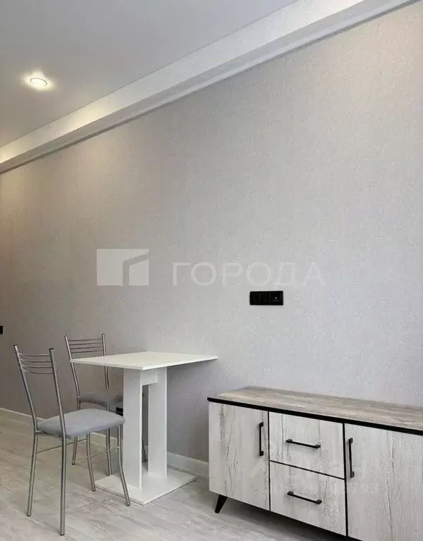 Студия Алтайский край, Барнаул Северо-Западная ул., 10А (21.3 м) - Фото 2