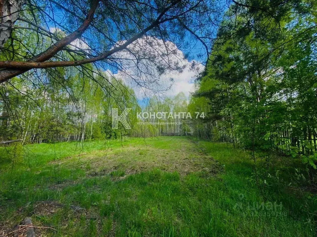 Участок в Челябинская область, Миасский городской округ, пос. Тыелга ... - Фото 1