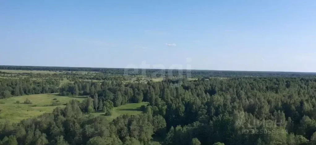 Участок в Ленинградская область, Кировский район, Мгинское городское ... - Фото 1