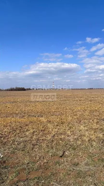 Участок в Крым, Симферопольский район, Николаевка пгт ул. Ялтинская ... - Фото 2
