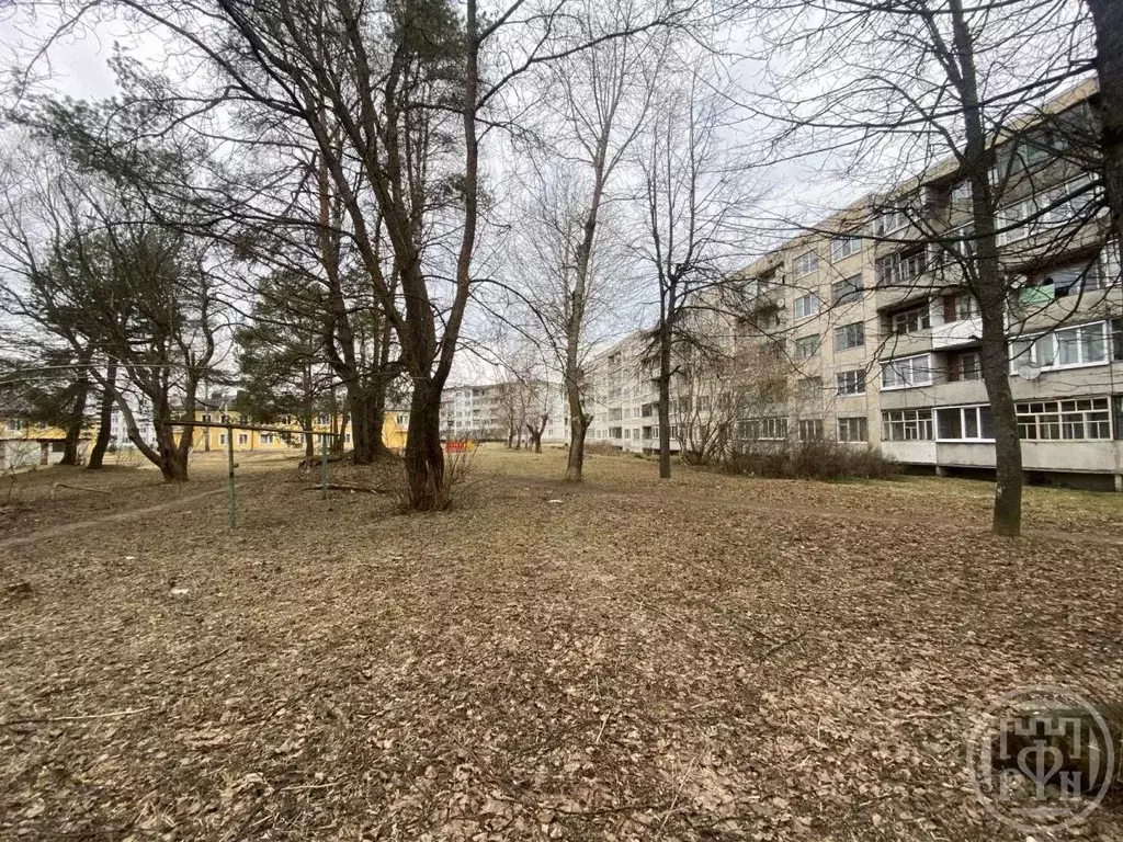 1-к кв. Ленинградская область, Волосовский район, Сабское с/пос, д. ... - Фото 2