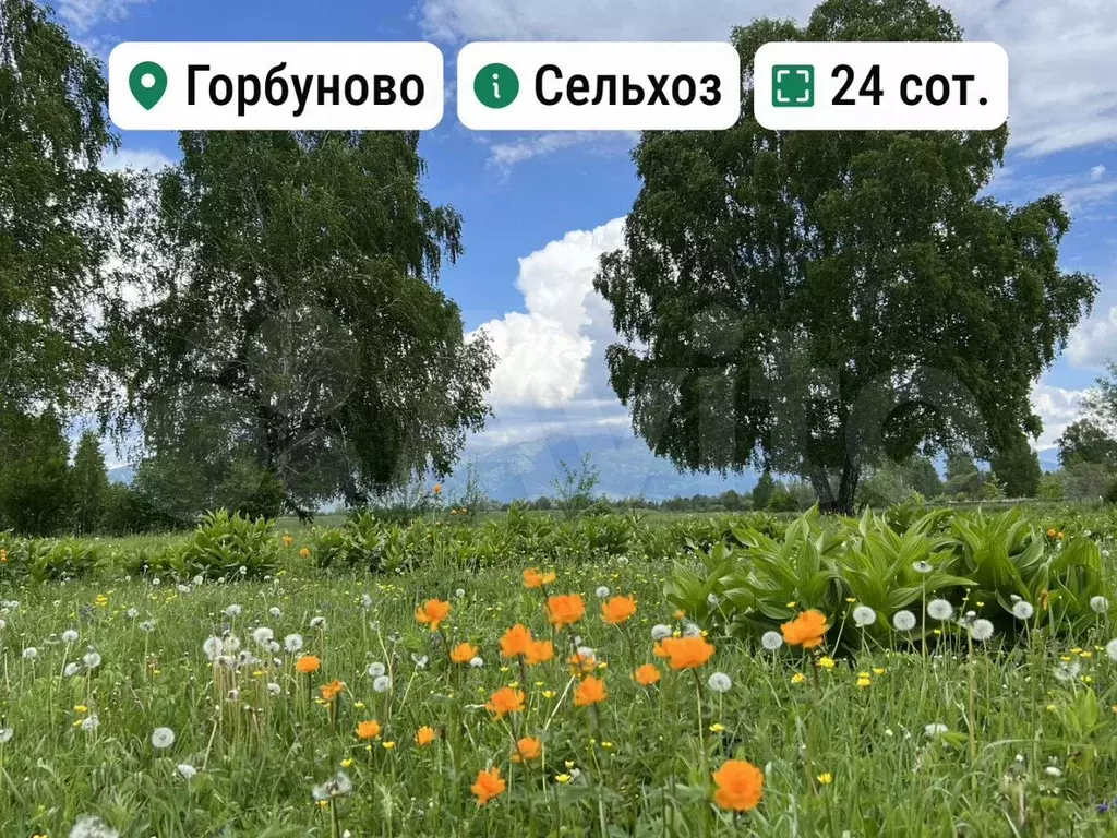 Участок 24 сот. (СНТ, ДНП) - Фото 0