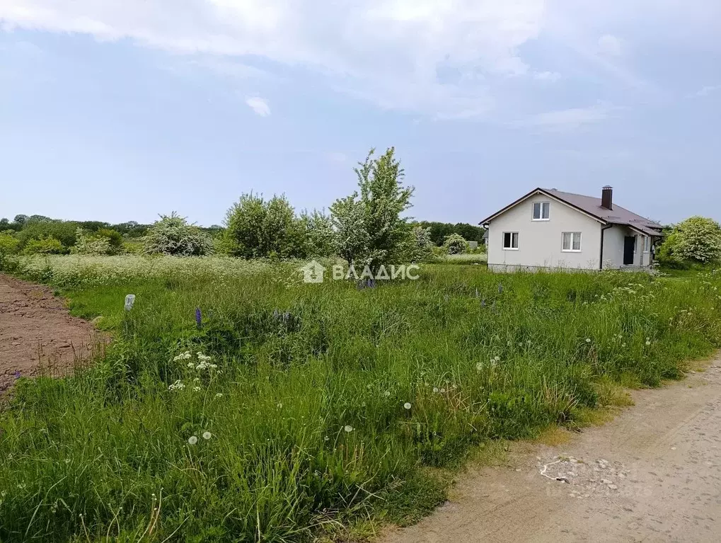 Участок в Калининградская область, Зеленоградск ул. Молодежная (7.75 ... - Фото 1