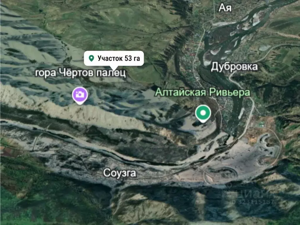 Участок в Алтайский край, Алтайский район, с. Алтайское ул. Советская, ... - Фото 2