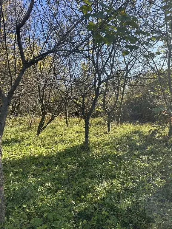 Участок в Северная Осетия, Владикавказ Весна садоводческое ... - Фото 1