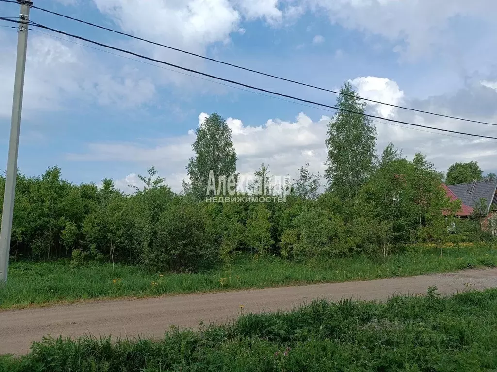 Участок в Ленинградская область, Приозерский район, Кузнечнинское ... - Фото 1