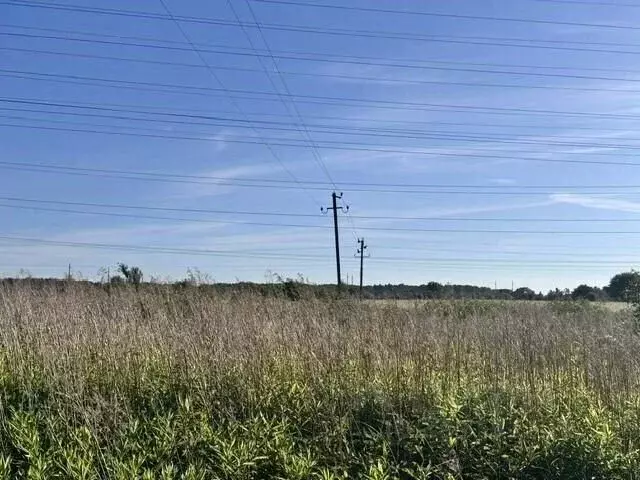 Участок в Калининградская область, Гурьевский муниципальный округ, ... - Фото 2