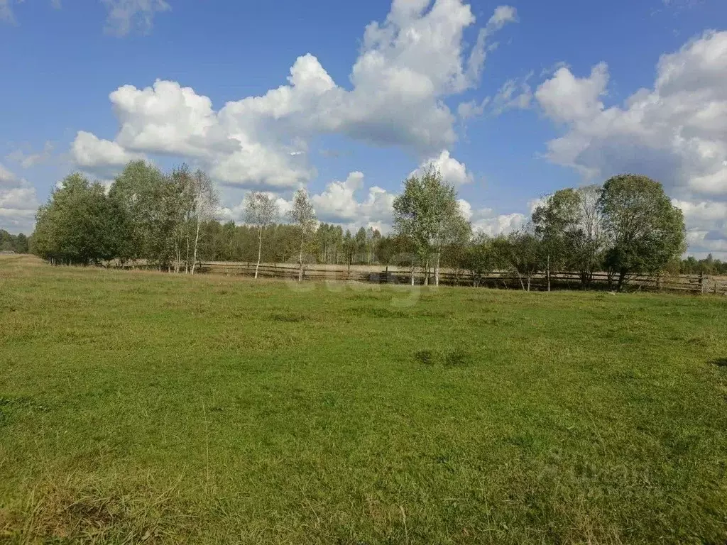 Участок в Ленинградская область, Киришский район, Будогощское ... - Фото 1