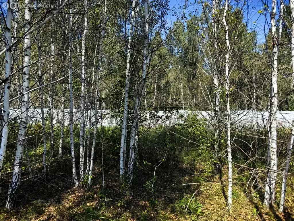 Участок в деревня Малиновка, КП Лесной остров (10.5 м) - Фото 1