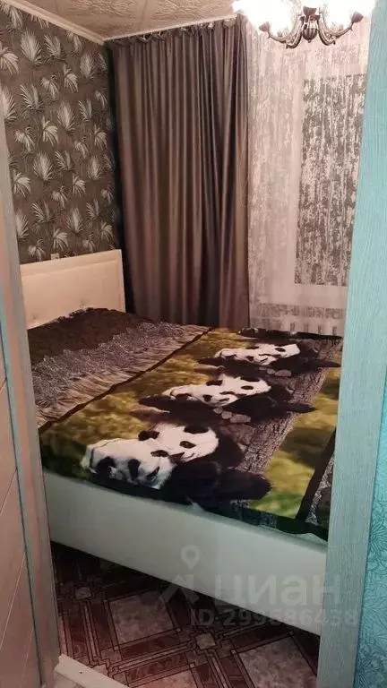 2-к кв. Мурманская область, Североморск ул. Душенова, 18 (37.0 м) - Фото 2