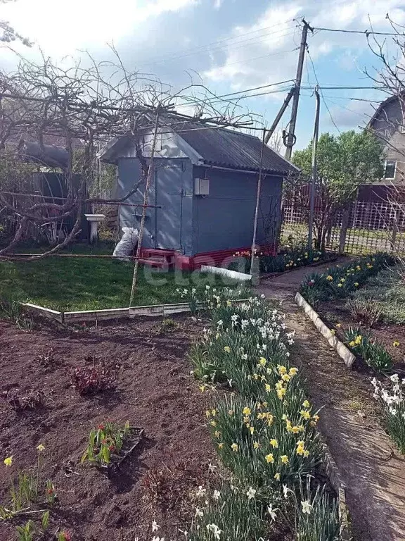 Участок в Ставропольский край, Ставрополь Успех садовое товарищество, ... - Фото 2