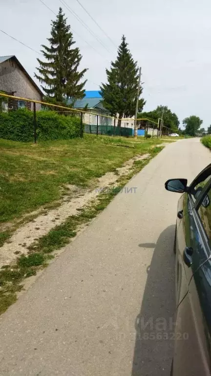 Участок в Нижегородская область, Вадский муниципальный округ, с. ... - Фото 1