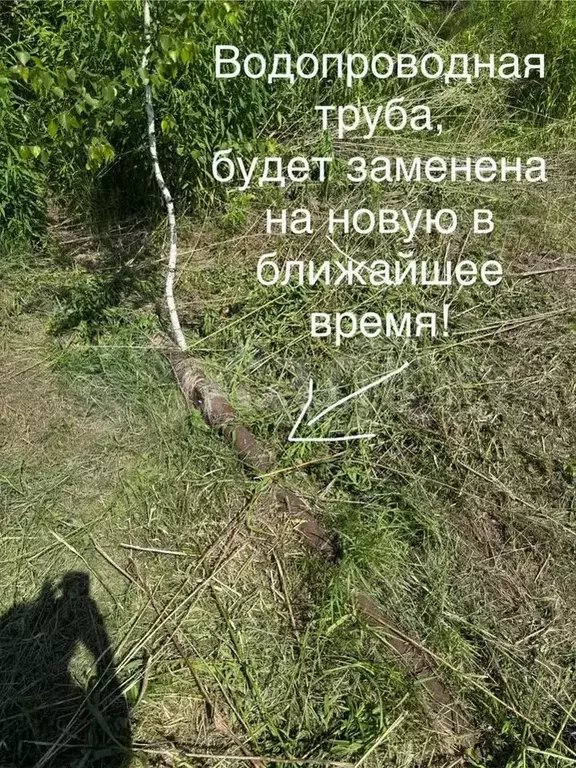 Участок 11,5 сот. (СНТ, ДНП) - Фото 1