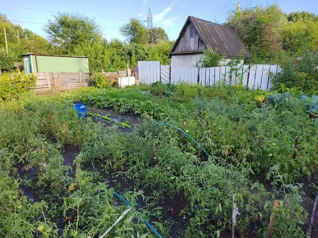 Дом в Ульяновская область, Ульяновск Труженик СНТ, 36 (48 м) - Фото 2