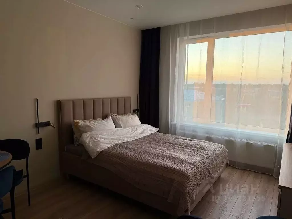 Студия Санкт-Петербург просп. Энергетиков, 8к2 (28.0 м) - Фото 0