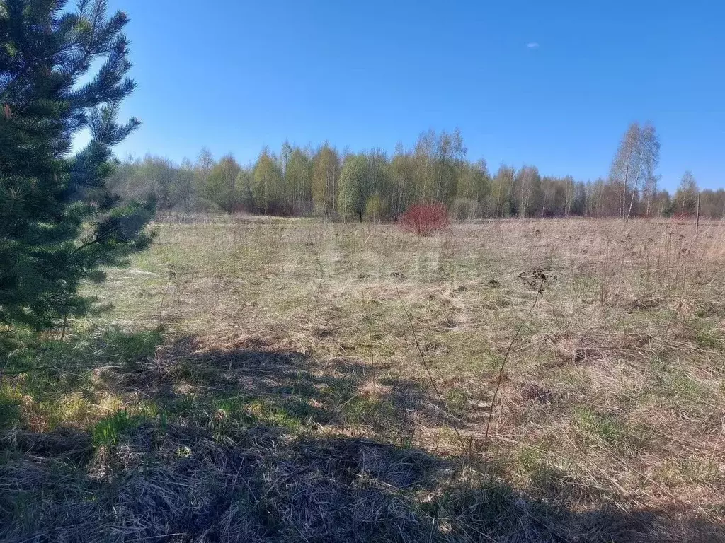 Участок 16,8 сот. (ИЖС) - Фото 0