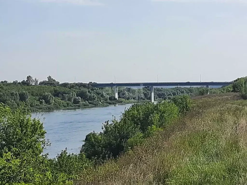 Участок в Воронежская область, с. Семилуки ул. Лесная (8.4 сот.) - Фото 1