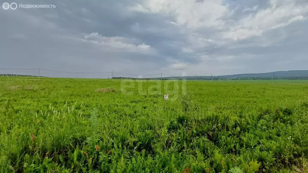 Участок в Красноярск (8 м) - Фото 2