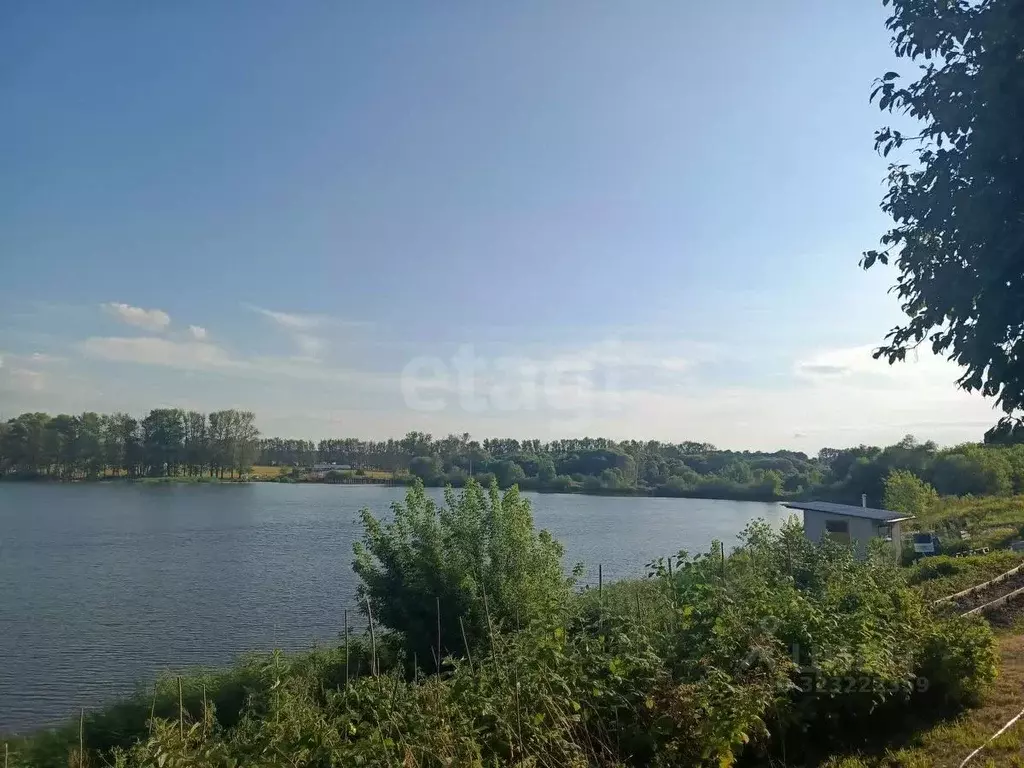 Участок в Тульская область, Щекинский район, Лазаревское с/пос, д. ... - Фото 1