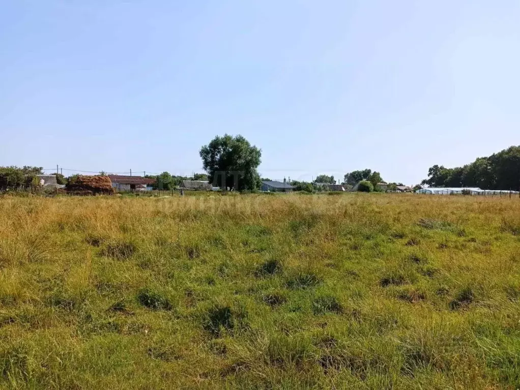 Участок в Калининградская область, Багратионовский муниципальный ... - Фото 1