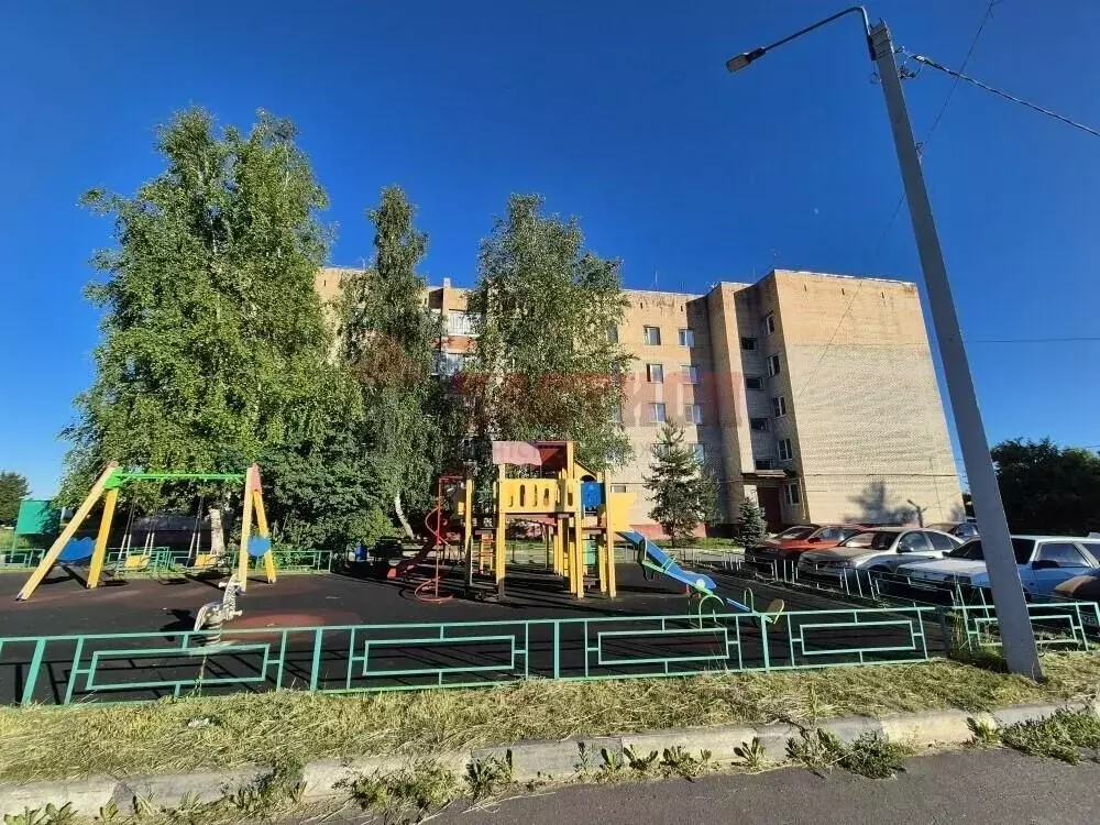 3-к кв. Московская область, Богородский городской округ, д. Боровково ... - Фото 1
