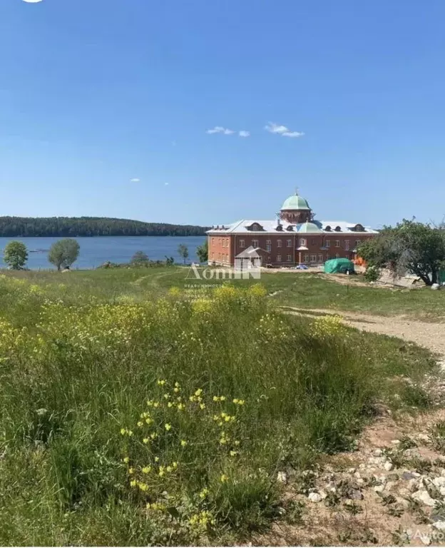 Участок в Псковская область, Новоржевский муниципальный округ, д. ... - Фото 2