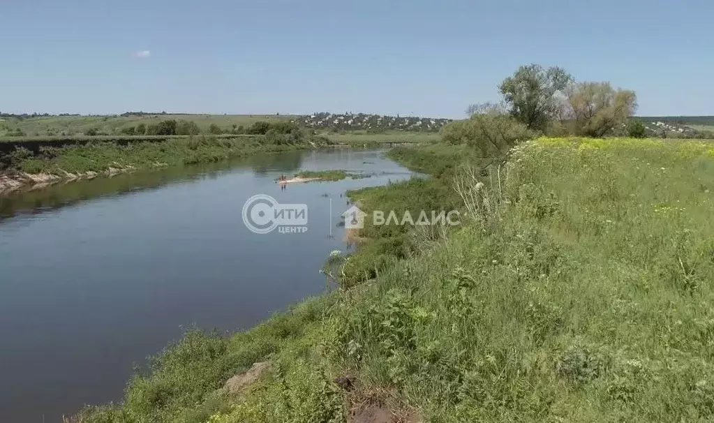 Участок в Воронежская область, Рамонский район, Новоживотинновское ... - Фото 0