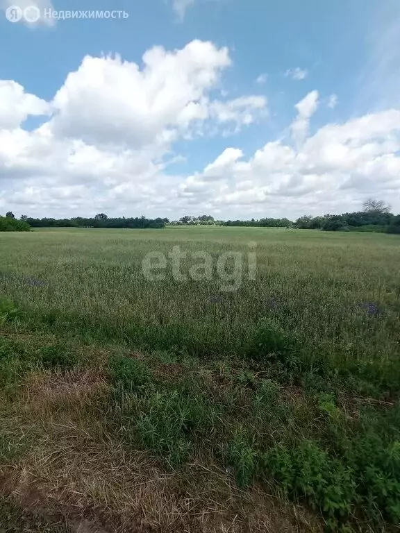 Участок в село Мелихово (13.5 м) - Фото 1