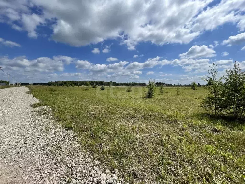 Участок в Ярославская область, Ярославский муниципальный округ, д. ... - Фото 2