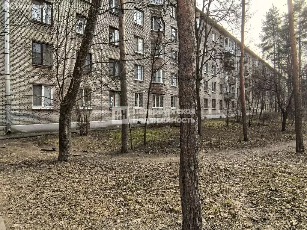 1-комнатная квартира: Санкт-Петербург, улица Хлопина, 9к3 (30.9 м) - Фото 2