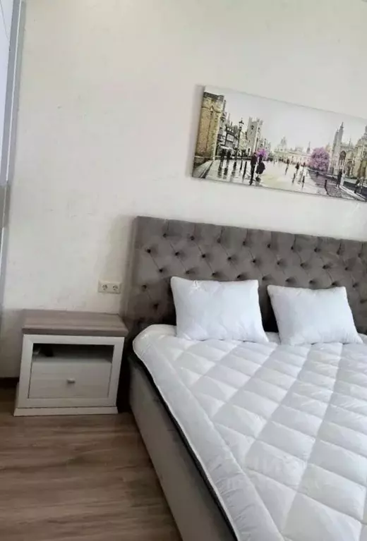 1-к кв. Калининградская область, Калининград ул. Генерала Соммера, 19 ... - Фото 2