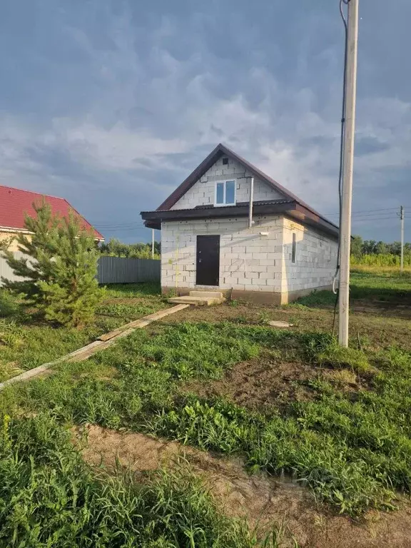 Дом в Алтайский край, Барнаул городской округ, пос. Бельмесево ул. ... - Фото 1