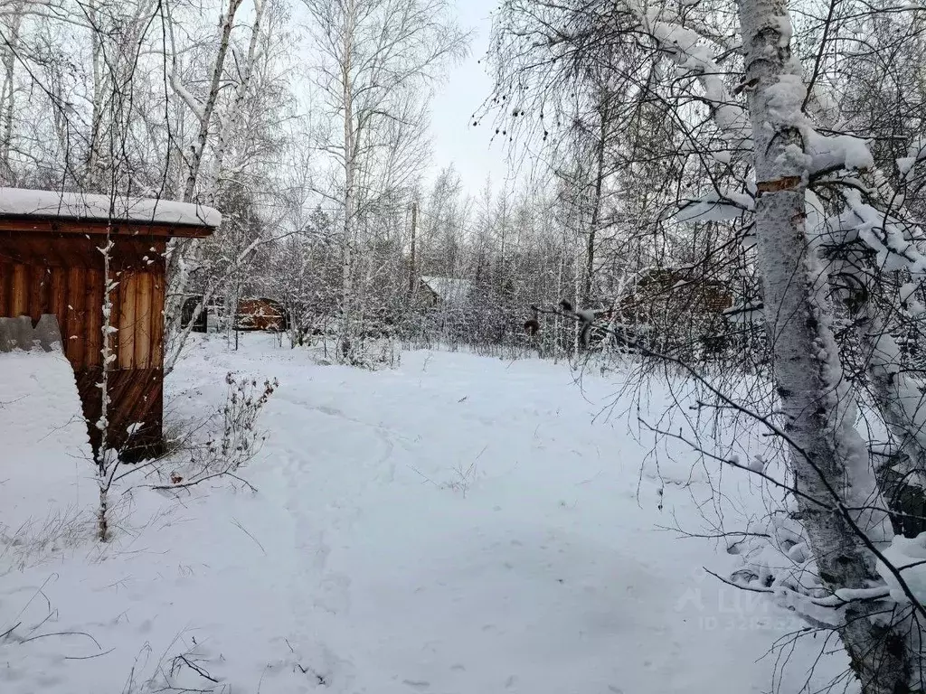 Участок в Саха (Якутия), Якутск городской округ, с. Маган  (10.0 сот.) - Фото 2