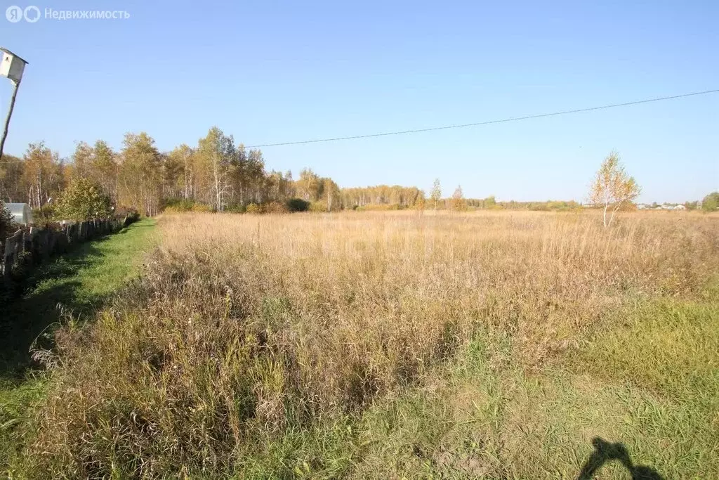 Участок в Тюменская область, Ялуторовский муниципальный округ, садовое ... - Фото 2