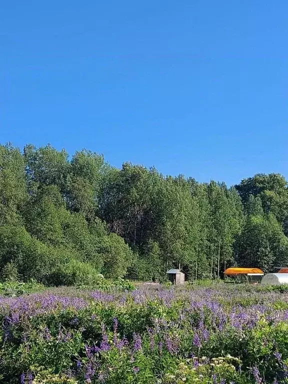 Участок в Кировская область, Кирово-Чепецкий район, Кстининское с/пос, ... - Фото 0