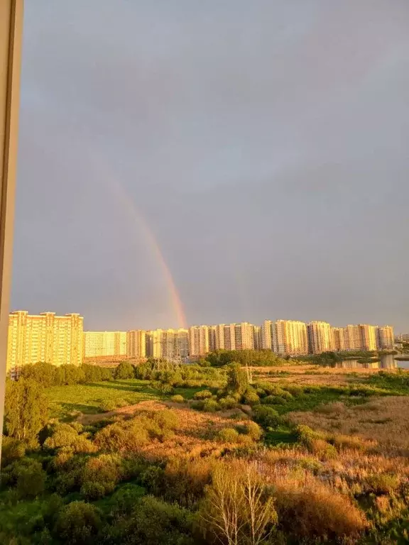 1-к кв. Московская область, Люберцы Зенино ЖК Самолет мкр, ул. ... - Фото 0