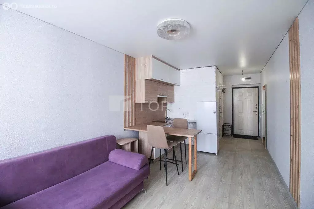 Квартира-студия: Барнаул, Песчаная улица, 190 (24.7 м) - Фото 1