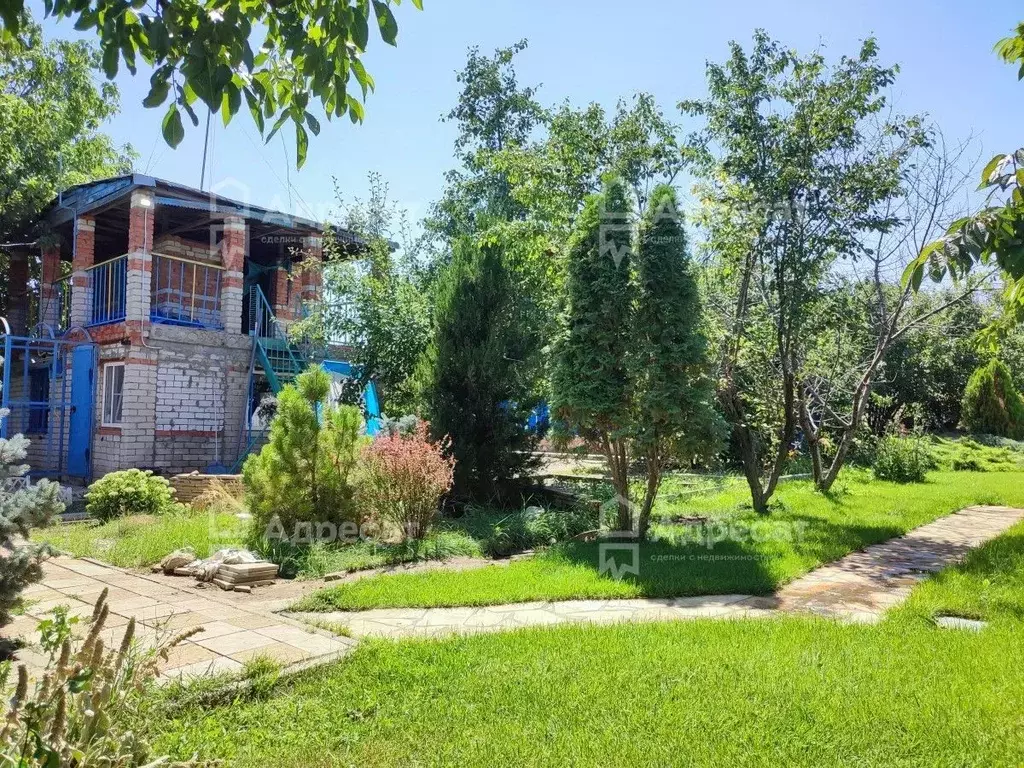 Дом в Волгоградская область, Волгоград ул. Можжевеловая (29 м) - Фото 2