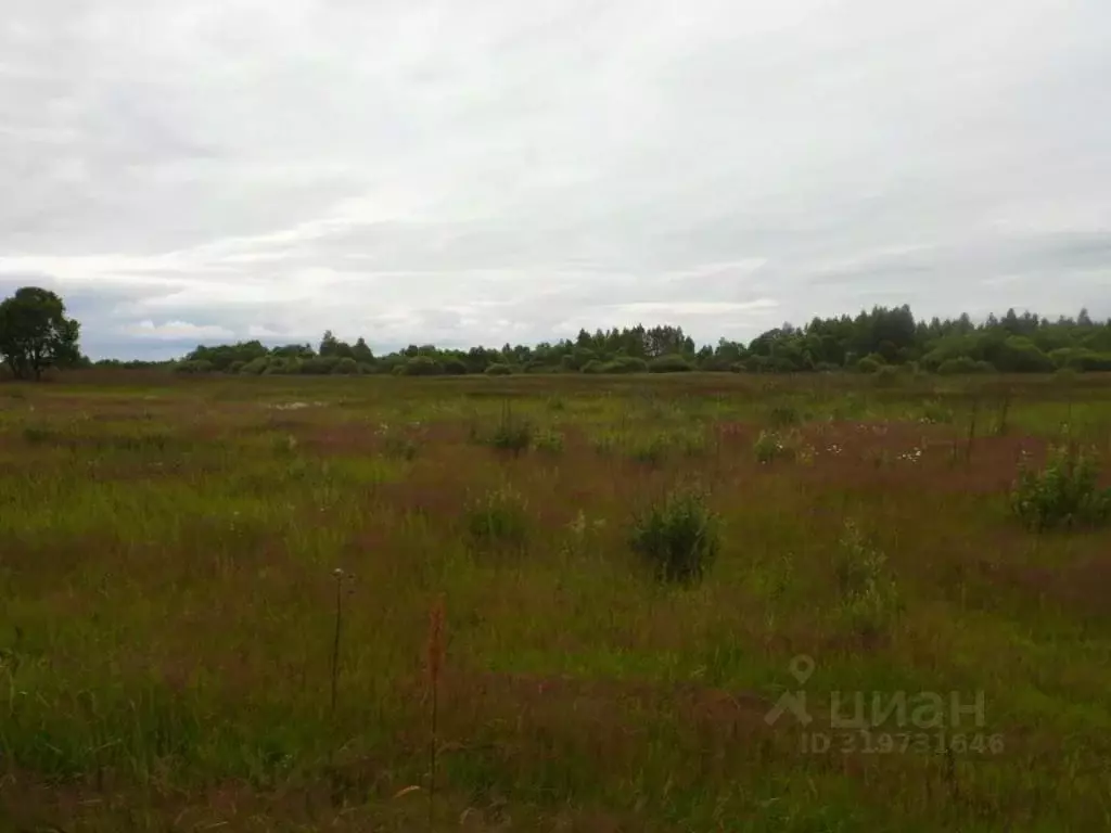 Участок в Смоленская область, Гагаринский муниципальный округ, ... - Фото 1