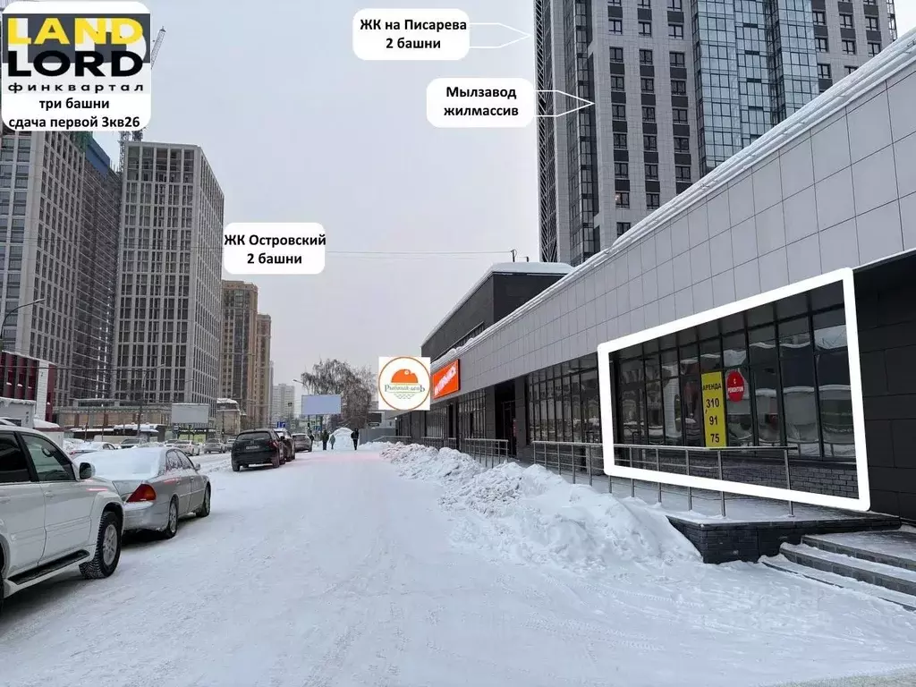 Помещение свободного назначения в Новосибирская область, Новосибирск ... - Фото 1