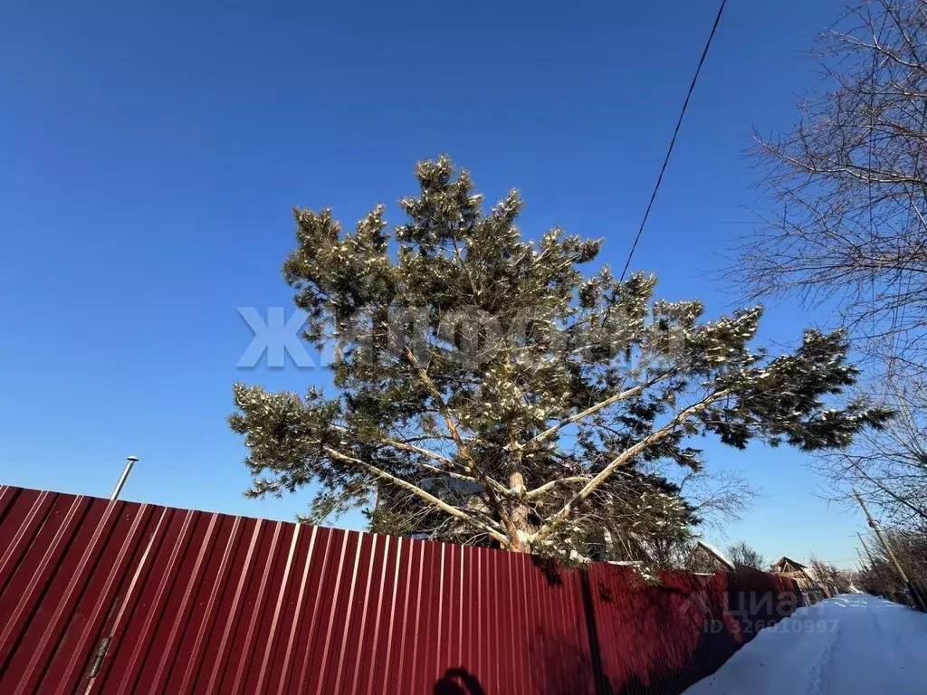 Участок в Новосибирская область, Бердск Ягодка СНТ, 112 (7.0 сот.) - Фото 2