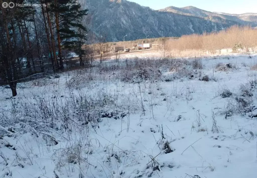 Участок в Майминский район, село Усть-Муны (10 м) - Фото 0