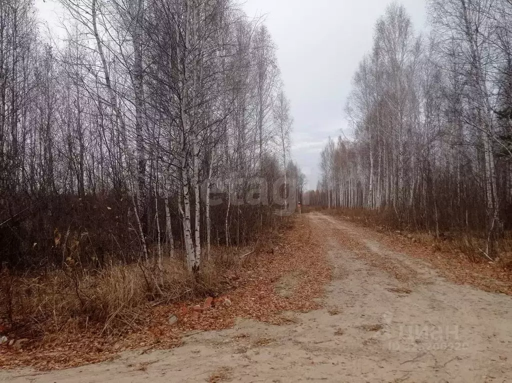 Участок в Тюменская область, Нижнетавдинский муниципальный округ, ... - Фото 1