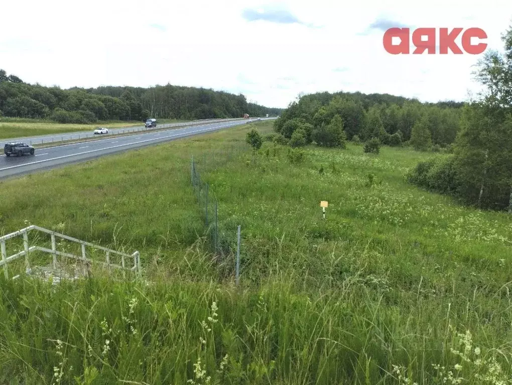 Участок в Ярославская область, Гаврилов-Ямский муниципальный округ, ... - Фото 1