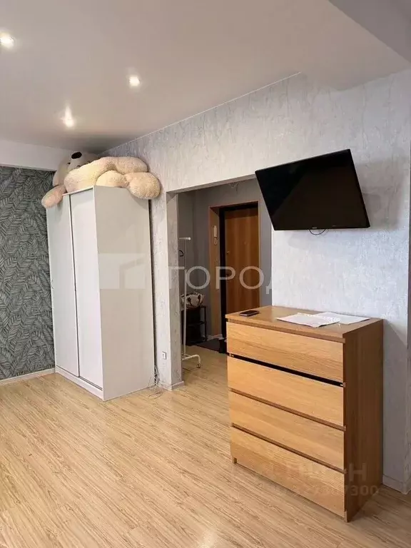 Студия Новосибирская область, Новосибирск ул. Адриена Лежена, 9/1 ... - Фото 2