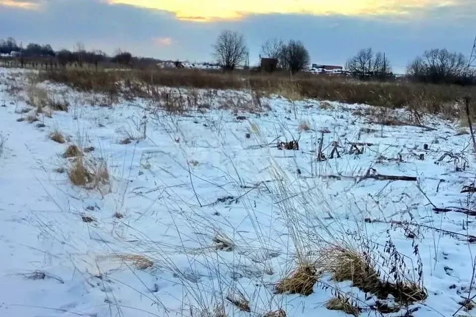 Участок в Курская область, Курск Лавсан СНТ, 1327 (15.0 сот.) - Фото 2